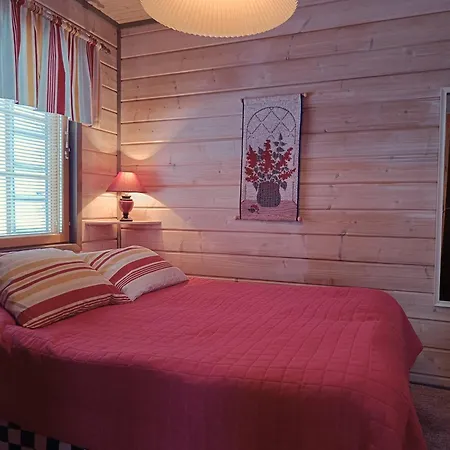 Ronttonen A 度假居 索特